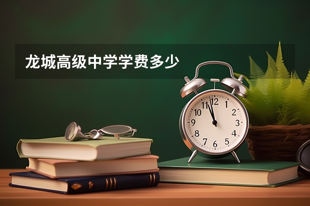 龙城高级中学学费多少