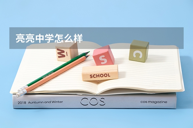 亮亮中学怎么样