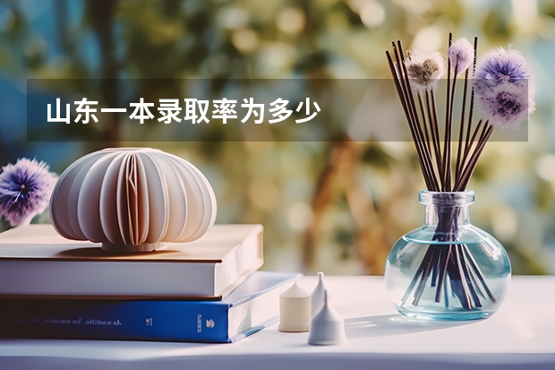 山东一本录取率为多少