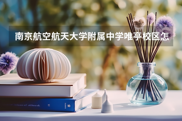 南京航空航天大学附属中学唯亭校区怎么样