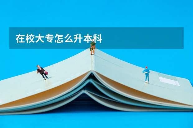 在校大专怎么升本科