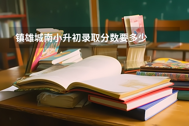 镇雄城南小升初录取分数要多少