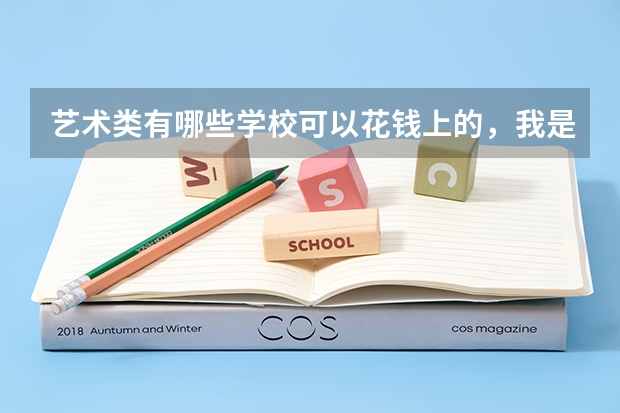 艺术类有哪些学校可以花钱上的，我是江苏的艺术生，学美术的