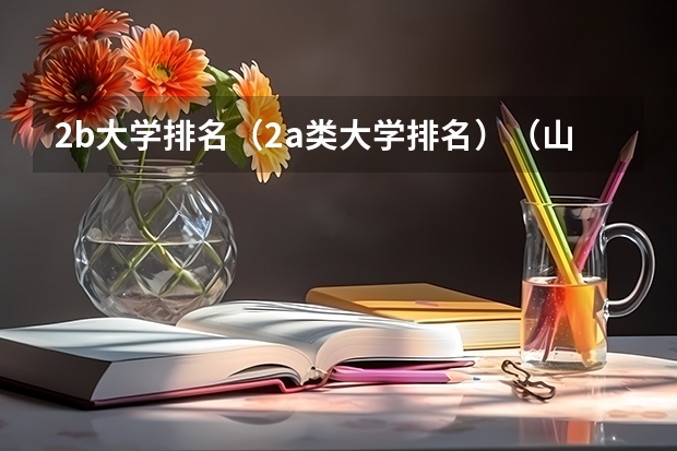 2b大学排名（2a类大学排名）（山东省内的二本大学）