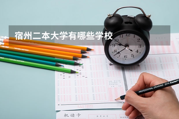 宿州二本大学有哪些学校
