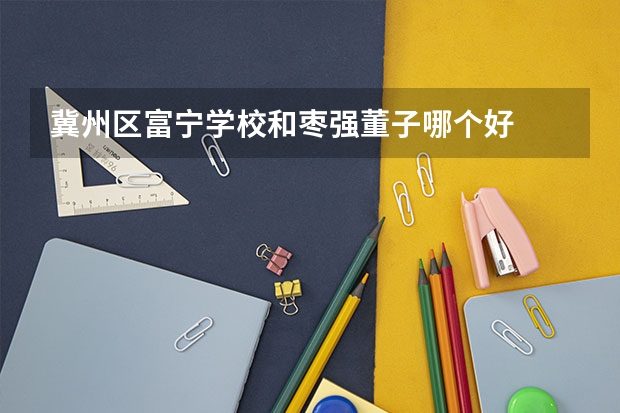 冀州区富宁学校和枣强董子哪个好