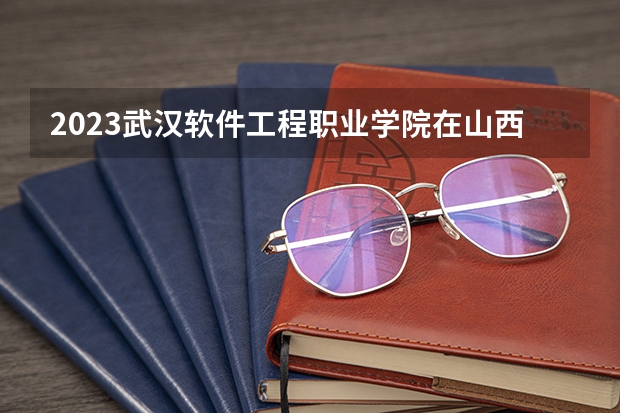2023武汉软件工程职业学院在山西高考各专业计划招多少人