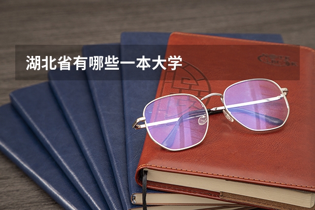 湖北省有哪些一本大学