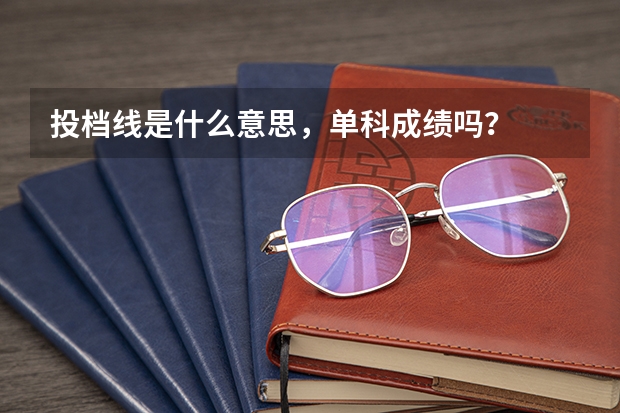投档线是什么意思，单科成绩吗？