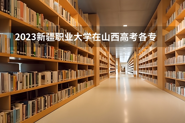 2023新疆职业大学在山西高考各专业计划招多少人