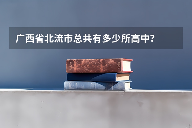 广西省北流市总共有多少所高中？